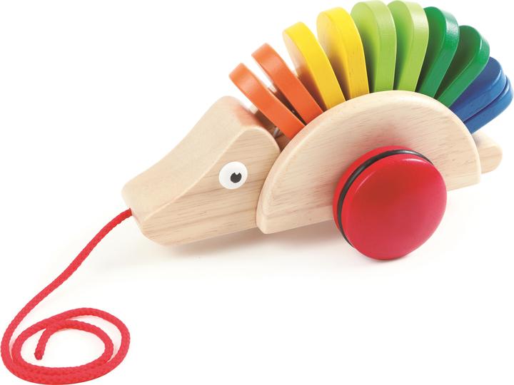 Actual product image Pintoy Pull-along hedgehog
