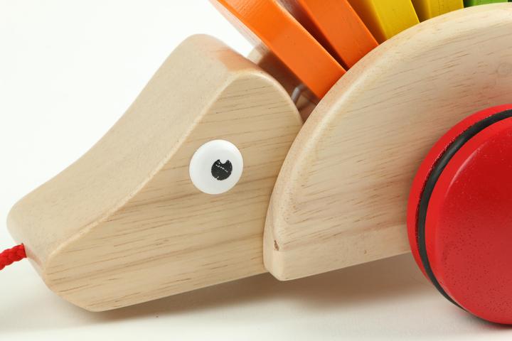 Actual product image Pintoy Pull-along hedgehog