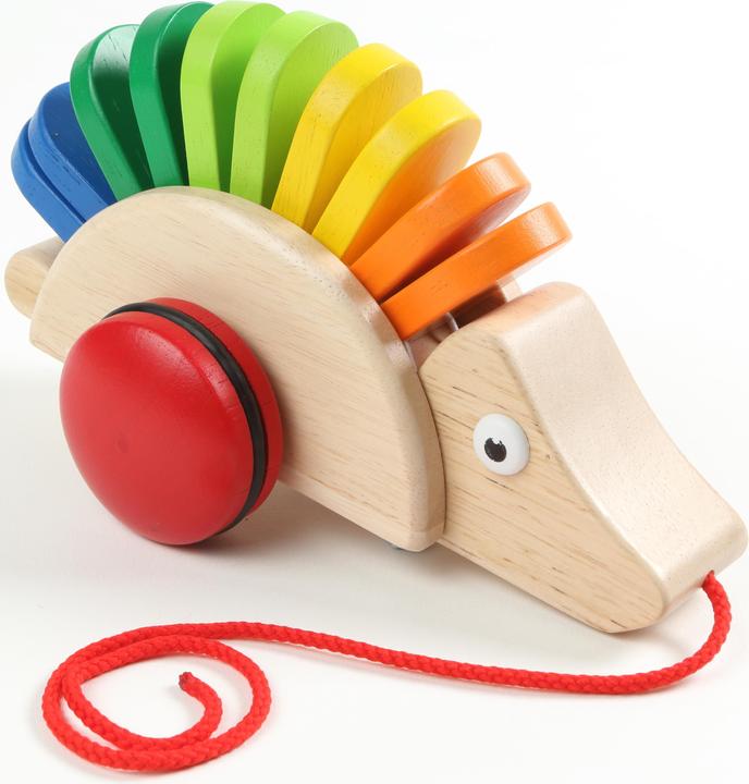 Actual product image Pintoy Pull-along hedgehog