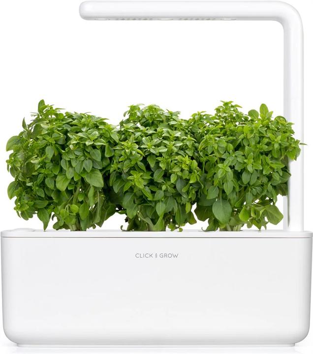 Actual product image Click and Grow Dwarf Basil (Herb seeds)