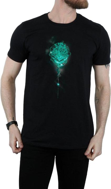Image du produit - T-shirt HOGWARTS CREST MIST - Homme (XXL)