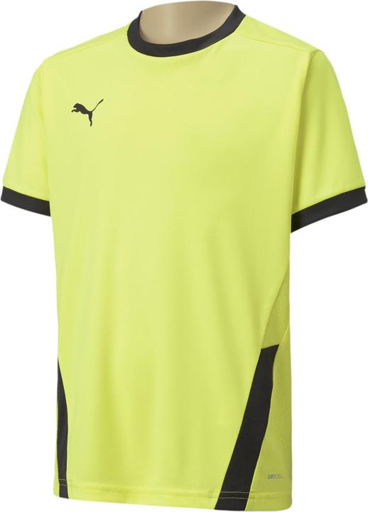 Image du produit Puma teamGOAL 23 Jersey jr-704160 (128)