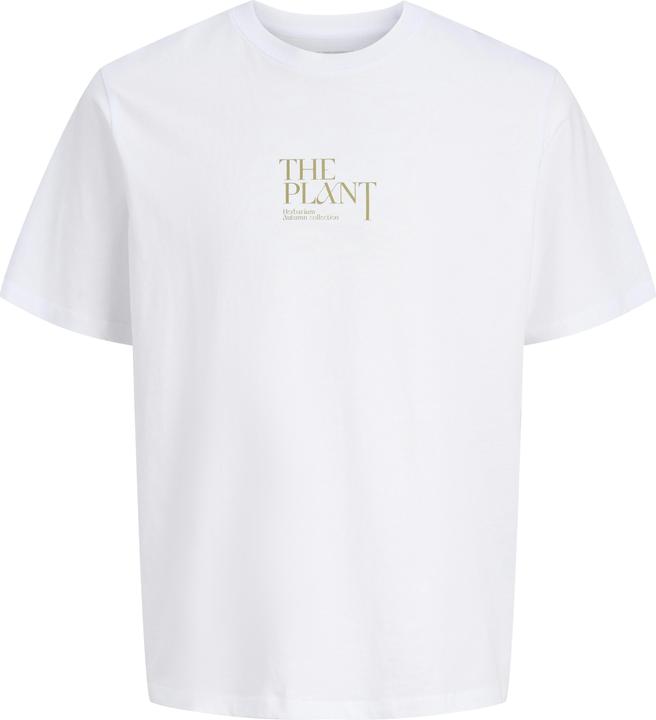 Produktbild Jack & Jones Jorbradley Herbarium Tee Ss C.N Stmss25 (L)
