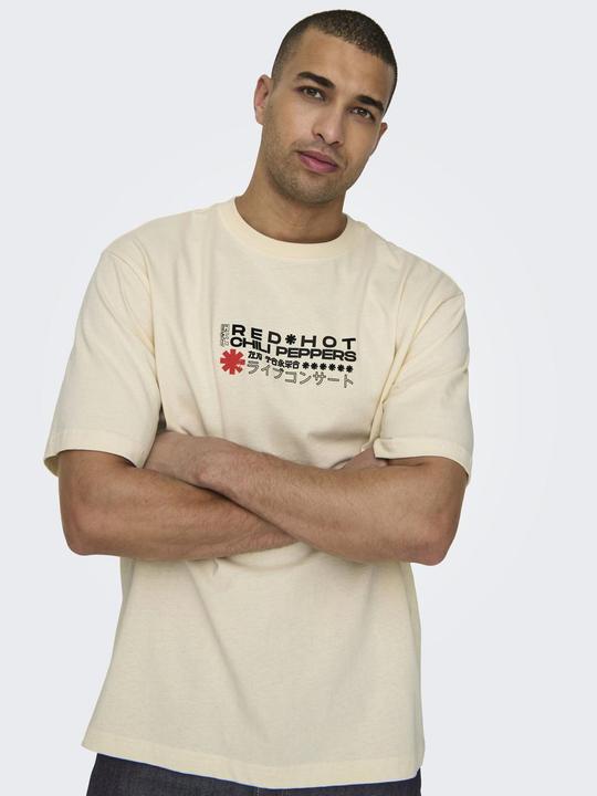 Actual product image Only & Sons Loose fit round neck T-shirt T-shirt (L)