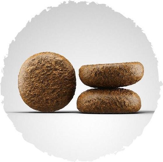 Image du produit Josera Nature active (Adulte, 1 pcs, 12710 g)
