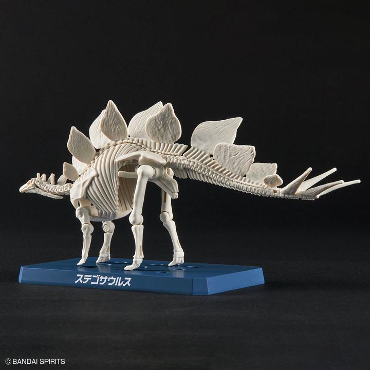 Actual product image Bandai Stegosaurus