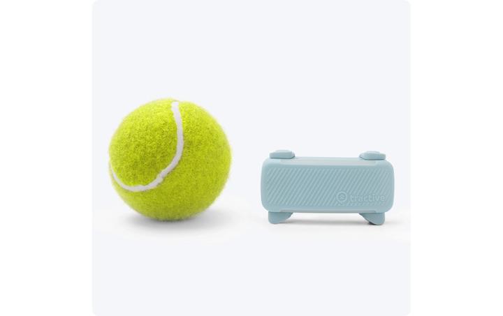 Produktbild Tractive GPS Tracker Dog 6 (Hund)