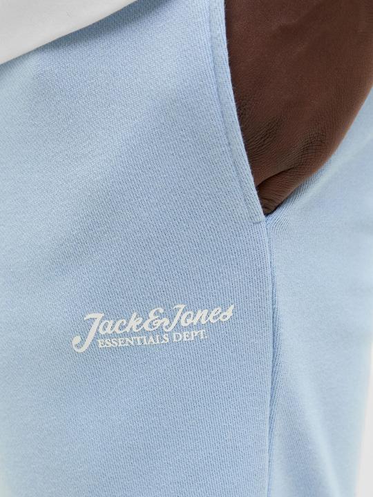 Immagine prodotto Jack & Jones Regular Fit Shorts Shorts (XS)