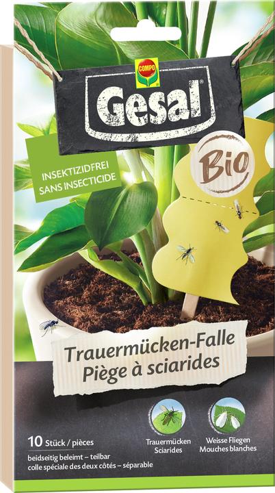 Actual product image Gesal BIO fungus gnat trap