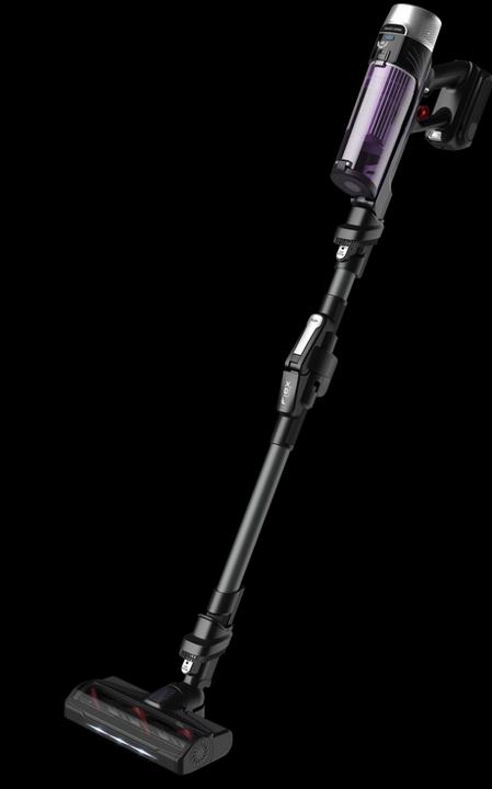 Image du produit Rowenta X-Force Flex 9.60 Allergy RH2038