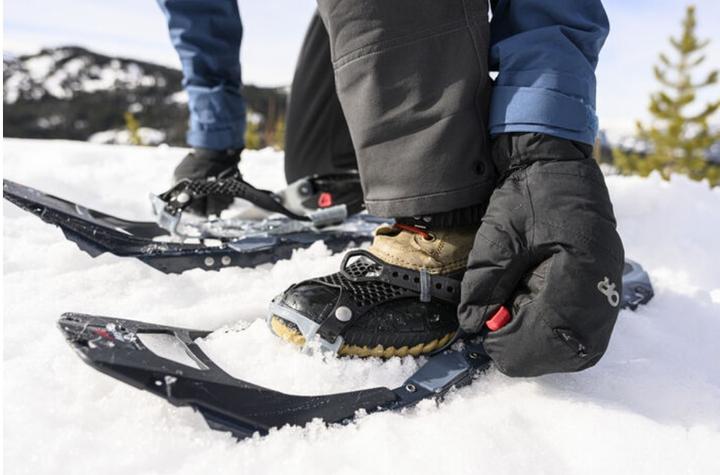 Actual product image Msr Revo Trail (25")