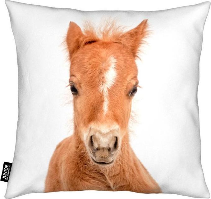 Actual product image Juniqe Foal - Horses (50 x 50 cm)