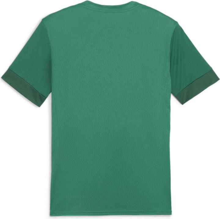 Image du produit Puma teamGOAL Matchday Jersey (L)