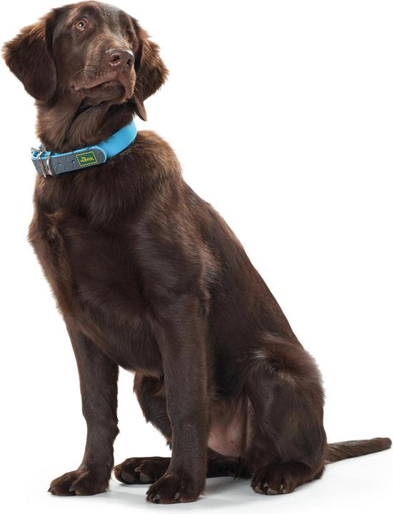 Produktbild Hunter Halsband Convenience Biothane (S, M, Hund, Allgemein)