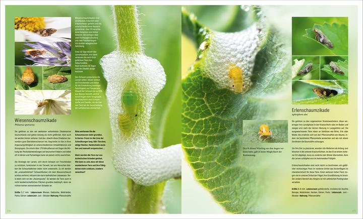Actual product image Mein Artenretter Garten (German, Anja Eder, 2024)