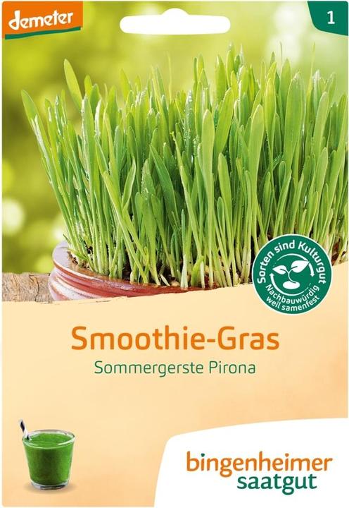 Produktbild Bingenheimer Saatgut Smoothie Gras Sommergerste (Blumenzwiebel)