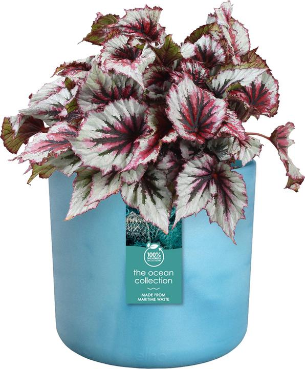 Produktbild Elho The Ocean Collection (22.30 cm)