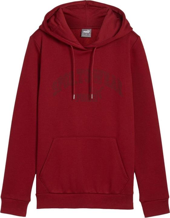 Immagine prodotto Puma Bluza damska Ess+ Logo LAB Hoodie FL bordowa 682987 13 M (13)