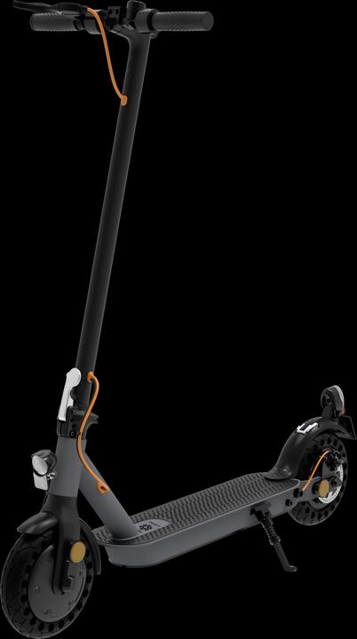 Trekstor EG 3178 (20 km/h, 25 km, 350 W)