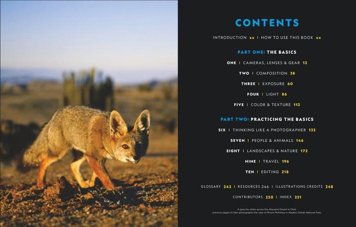 Immagine prodotto National Geographic Foto Basics (Tedesco, Joel Sartore, 2020)