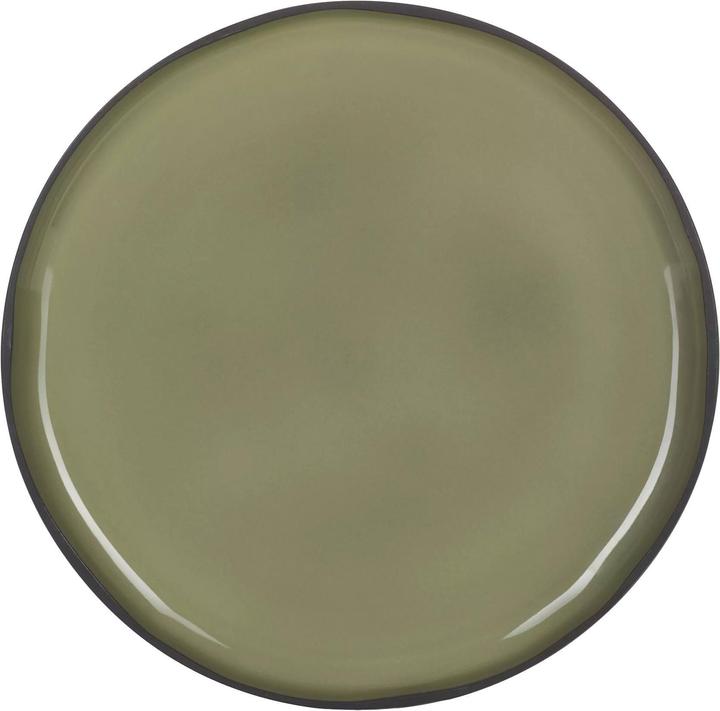 Actual product image Revol Plates (1 x, 30 cm)