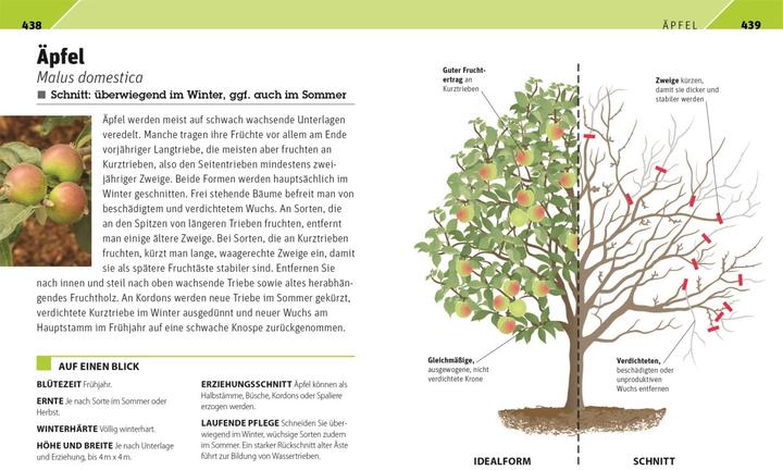 Produktbild Gartenwissen Pflanzenschnitt (Deutsch, Andrew Mikolajski, 2021)