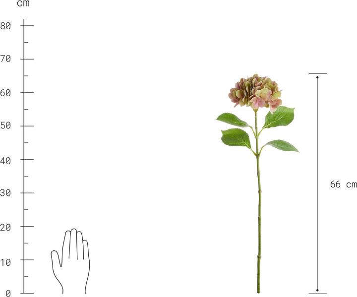 Produktbild home24 Florista