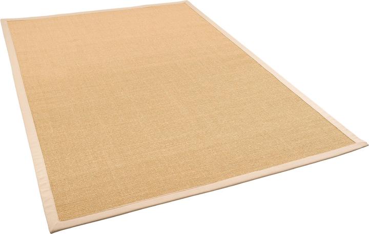 Pergamon Tapis en sisal Natura Classique avec bordure (120 x 170 cm)