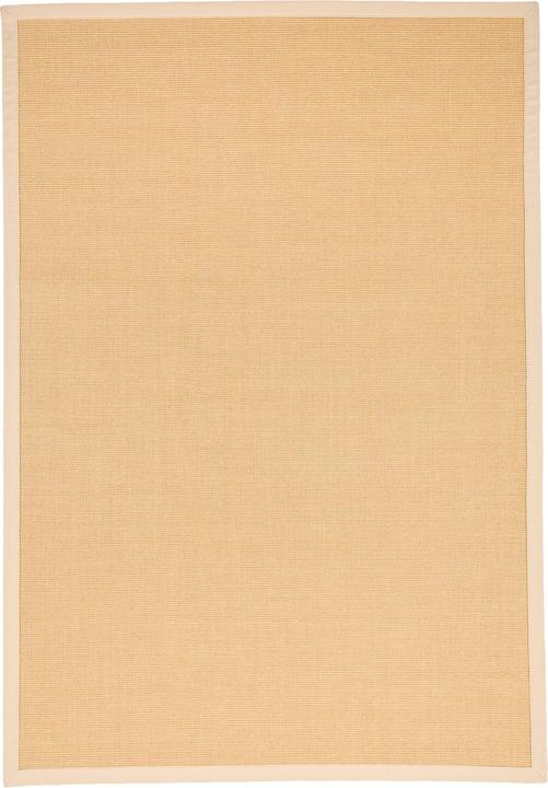 Actual product image Pergamon Sisal carpet Natura Classic with border (120 x 170 cm)