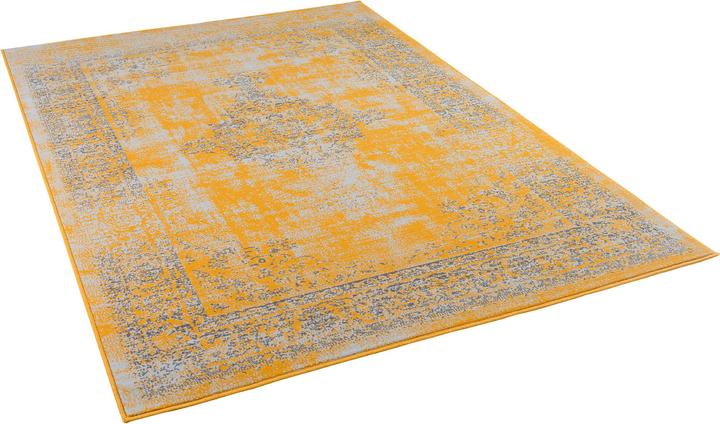 Actual product image Pergamon Designer Carpet Passion Vintage Border (120 x 170 cm)
