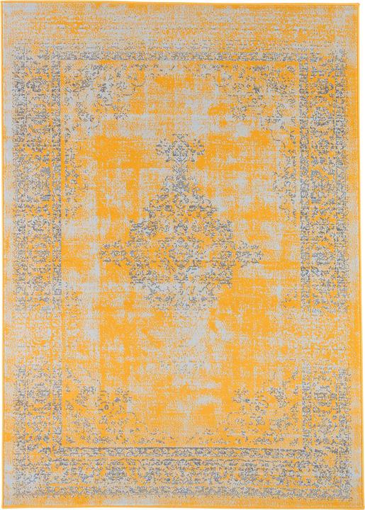 Actual product image Pergamon Designer Carpet Passion Vintage Border (120 x 170 cm)