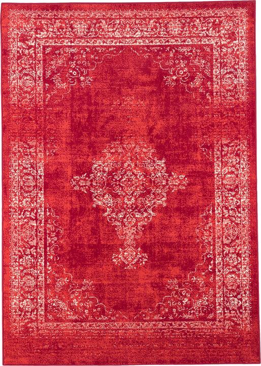Actual product image Pergamon Designer Carpet Passion Vintage Border (80 x 150 cm)
