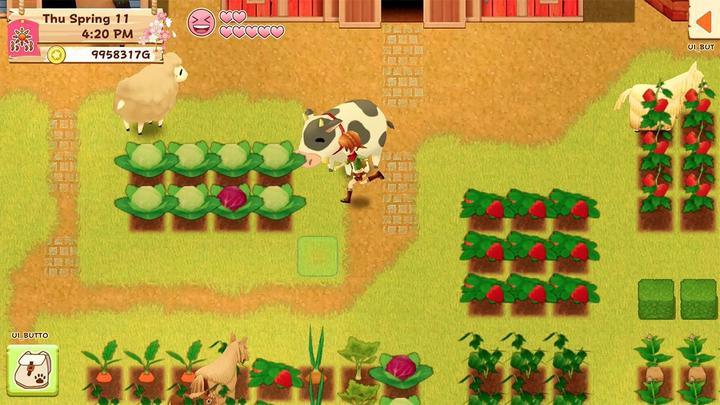 Produktbild Rising Star Harvest Moon: Licht der Hoffnung - Special Edition (Switch, Multilingual)