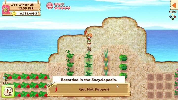 Produktbild Rising Star Harvest Moon: Licht der Hoffnung - Special Edition (Switch, Multilingual)