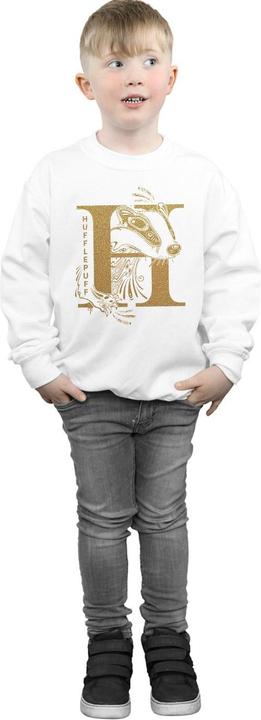 Immagine prodotto Hufflepuff Glitter Felpa Ragazzi (116)