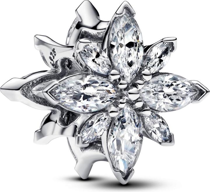 Pandora Charm (Silber 925)