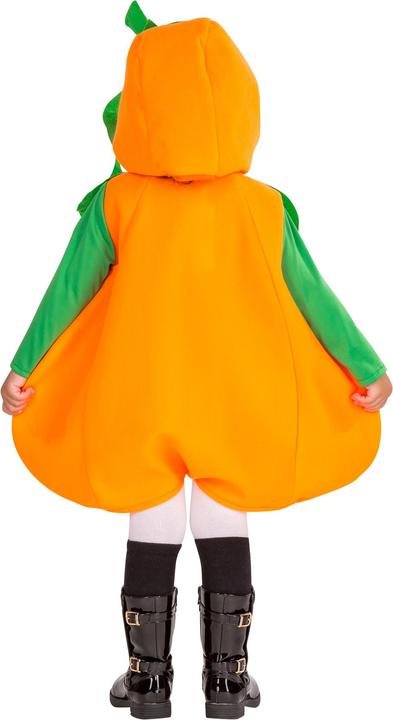 Produktbild Dressforfun Kürbis (104)
