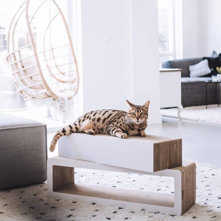 Actual product image District 70 Kratzbaum (24 cm, White and beige)