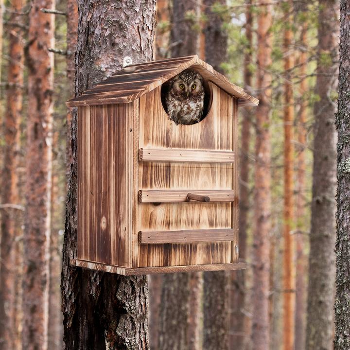Actual product image Relaxdays Owl nesting box