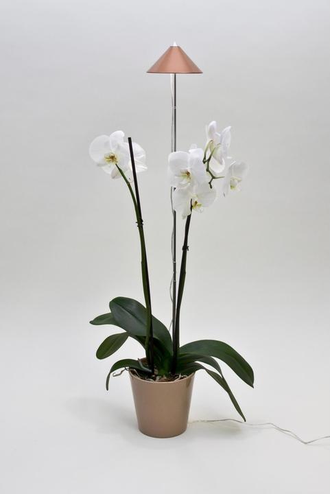 Actual product image Colibri Sunlite (LED, 230 V)