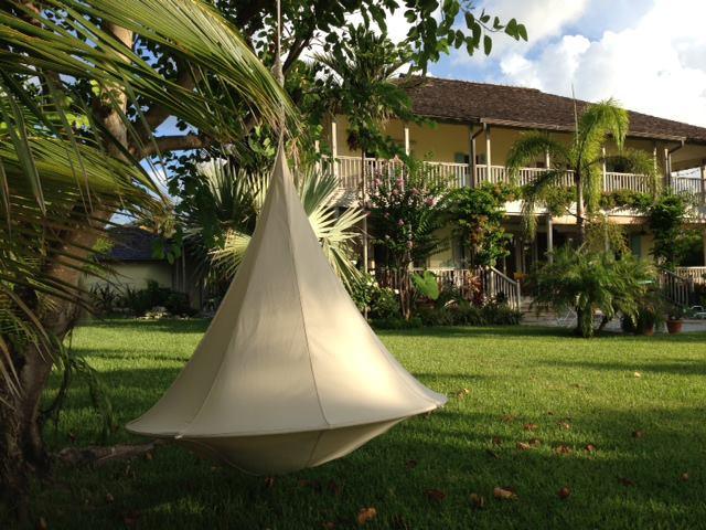 Image du produit Cacoon Simple (200 kg)