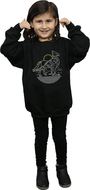 Image du produit - Sweat BUCKBEAK LINE ART - Fille (116)