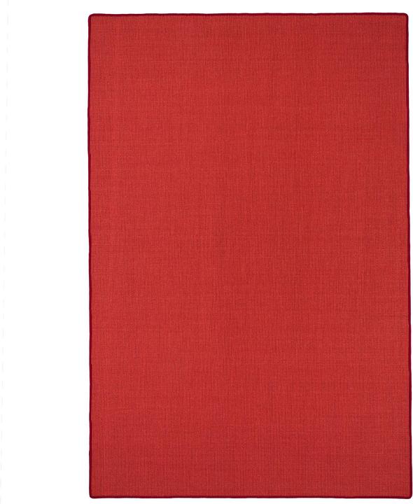 Image du produit Snapstyle Tapis en sisal naturel Classique - 9 coloris en 17 tailles (100 x 200 cm)