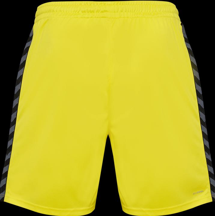Image du produit hummel Hmlauthentic Pl Shorts (XXL)