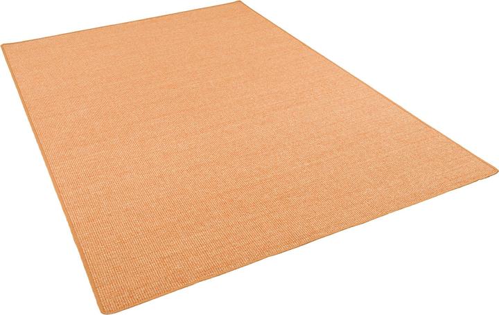 Image du produit Snapstyle Tapis en sisal naturel Classique - 9 coloris en 17 tailles (100 x 300 cm)