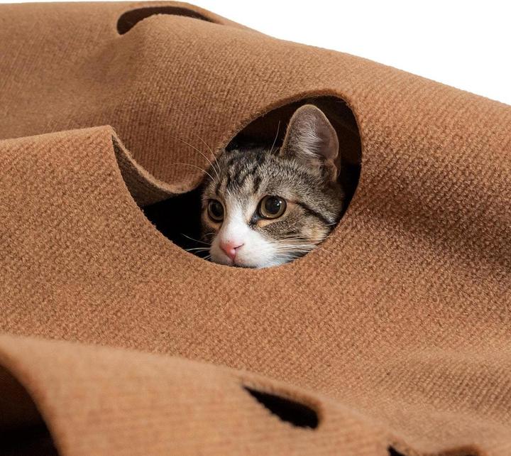 Produktbild CanadianCat Spielteppich, 90 x 120 cm, Braun