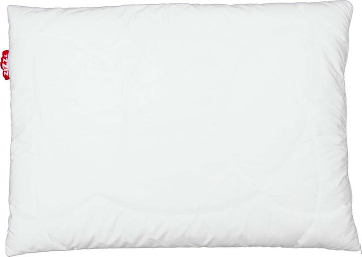 Immagine prodotto Zizzz Cuscino in piuma d'oca Premium (60 x 90 cm)