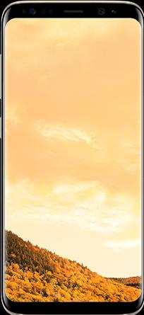 Samsung Galaxy S8 Duos (64 GB, Maple Gold, 5.80", Hybrid Dual SIM, 12 Mpx, 4G)