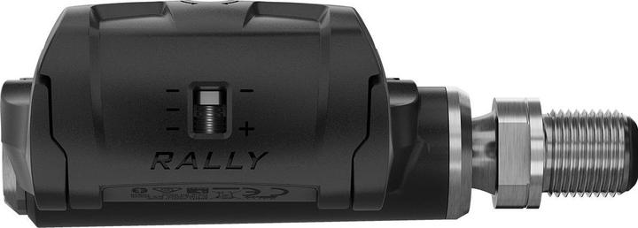 Actual product image Garmin Rally RK 100