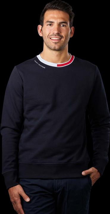 Actual product image Tommy Hilfiger Jacquard Pullover Crew Neck desert sky (M)